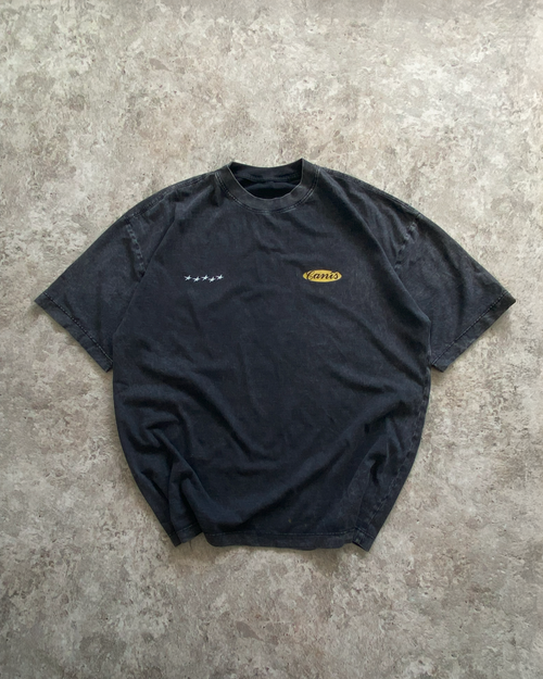 C-PÚAS