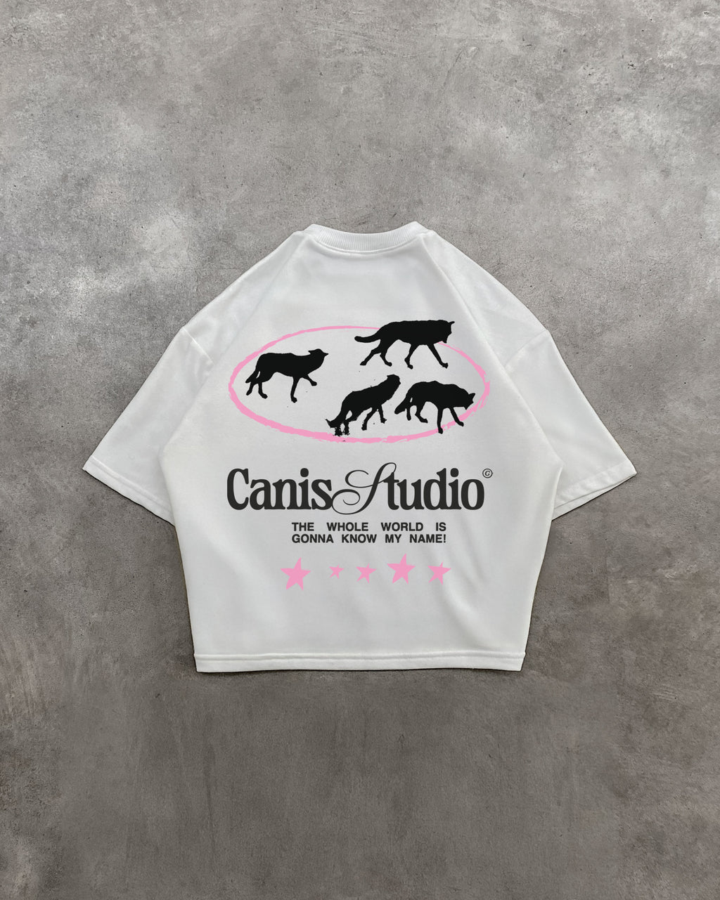CanisStudio pink