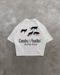 CanisStudio pink